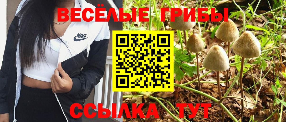 Галлюциногенные грибы MAGIC MUSHROOMS  Вход с VPN  дарнет шоп  Сухой Лог 