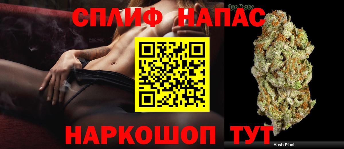 Конопля планчик Сухой Лог